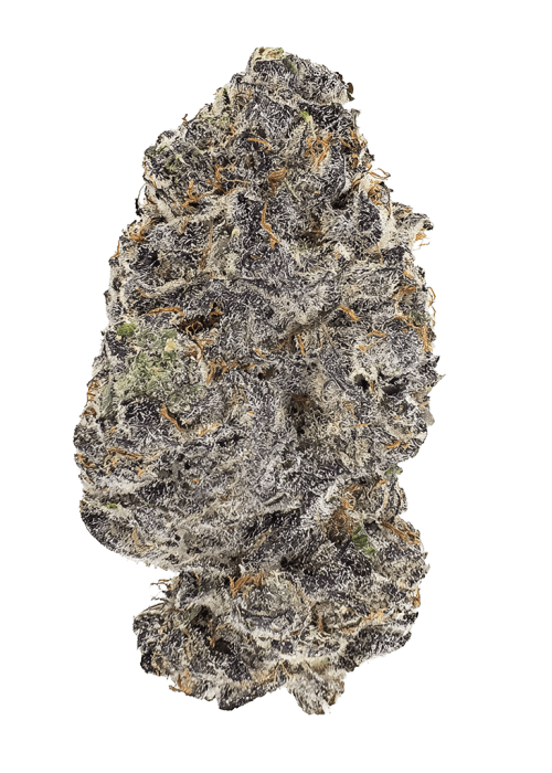 Flor da strain Gorilla Gelato