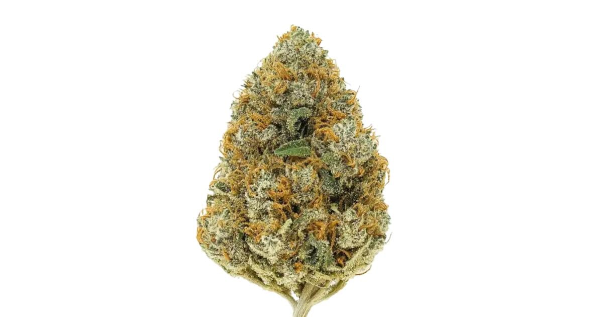 Flor da strain Grapefruit