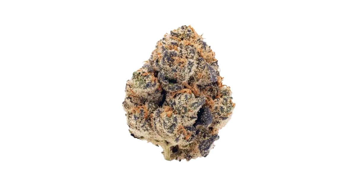Flor da strain Hindu Kush