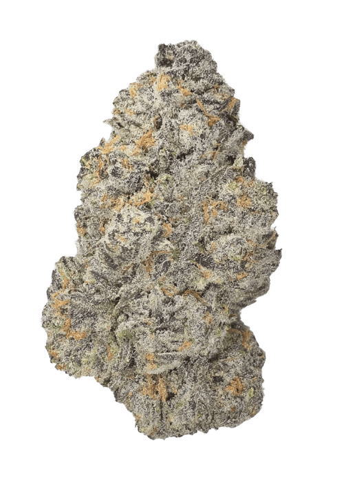 Flor da strain Holy Punch