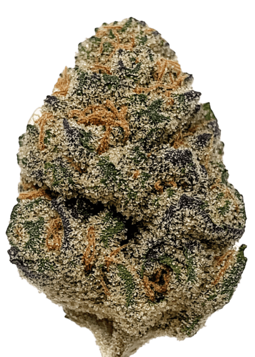 Flor da strain Honey Bun