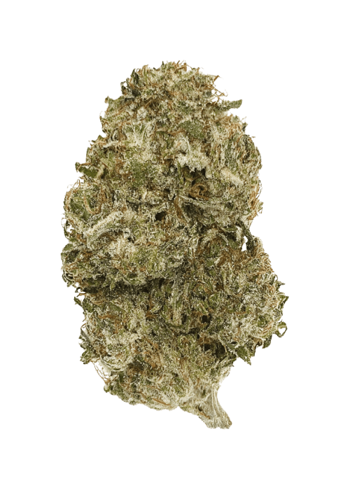 Flor da strain HulkBerry Auto