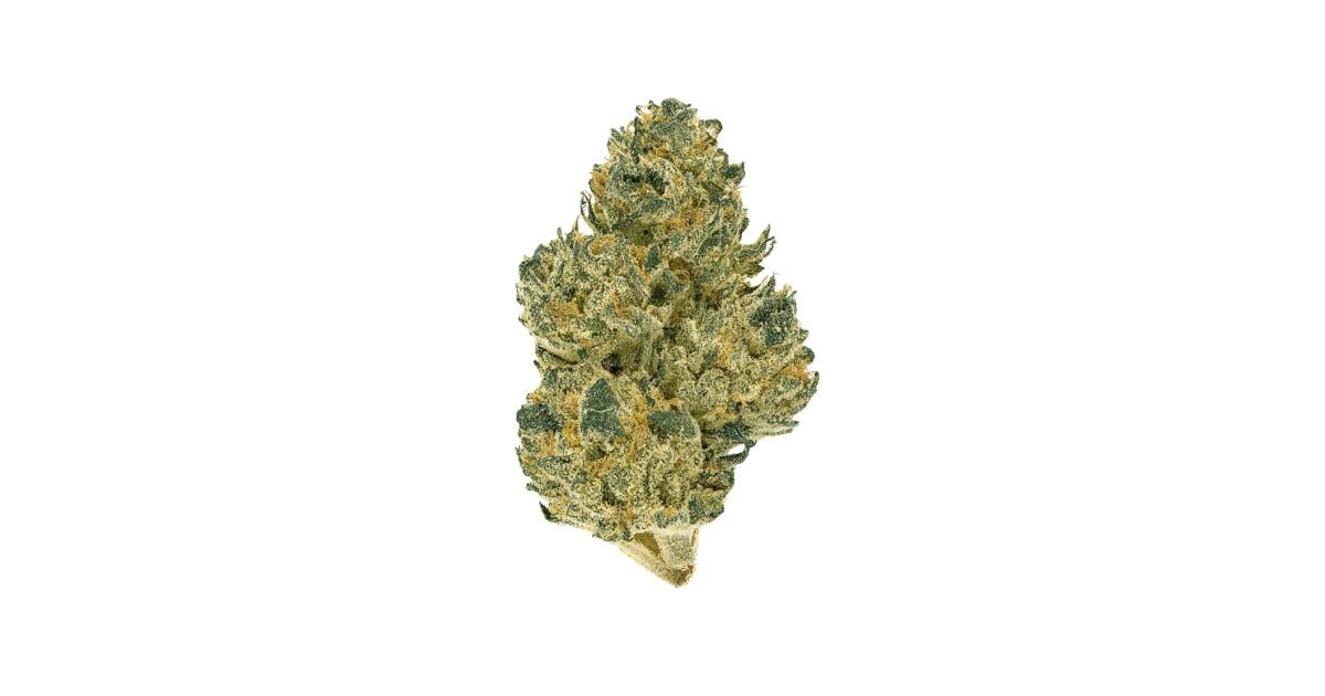 Flor da strain Indiana Bubblegum