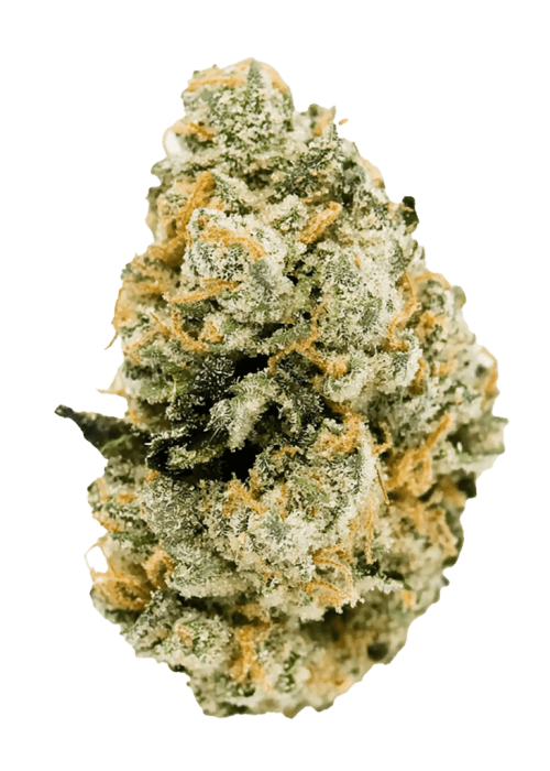 Flor da strain Jet Fuel Gelato