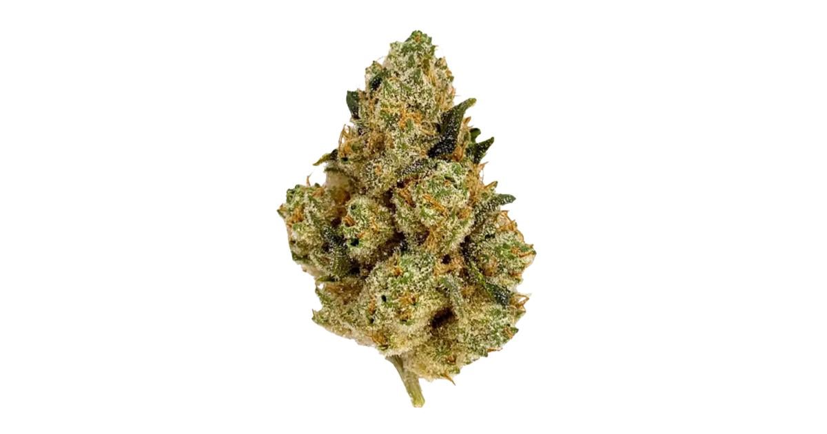 Flor da strain Jet Fuel