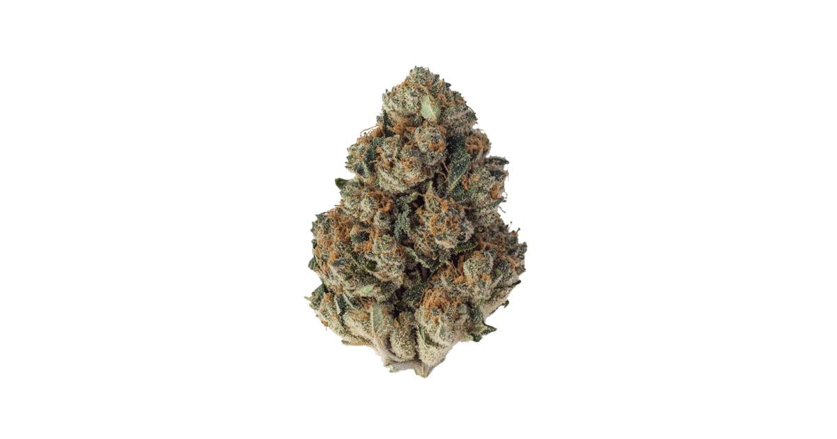Flor da strain Khalifa Kush