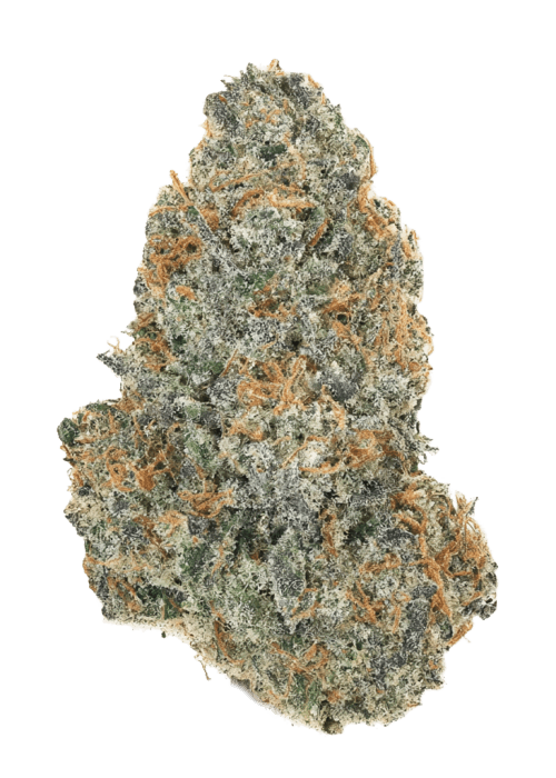 Flor da strain Lemonade Gelato