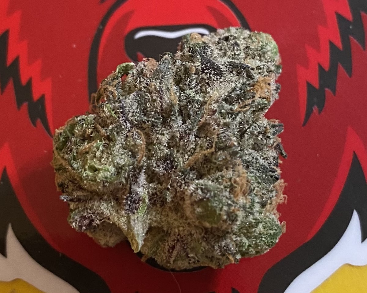 Flor da strain Melonade