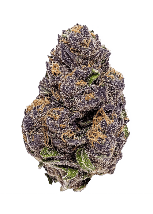 Flor da strain Mexican Rush Auto