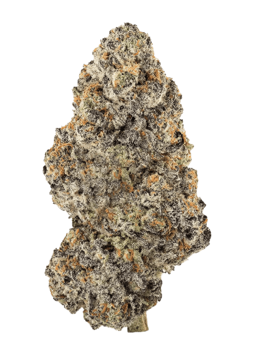Flor da strain Northern Lights #5