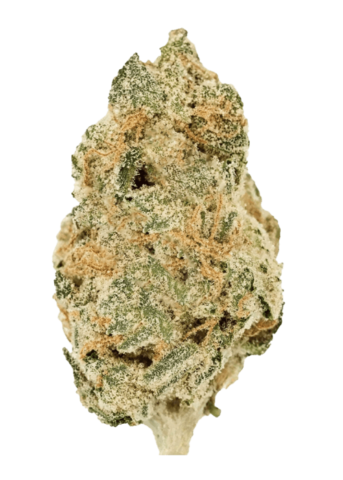 Flor da strain Orange Creamsicle