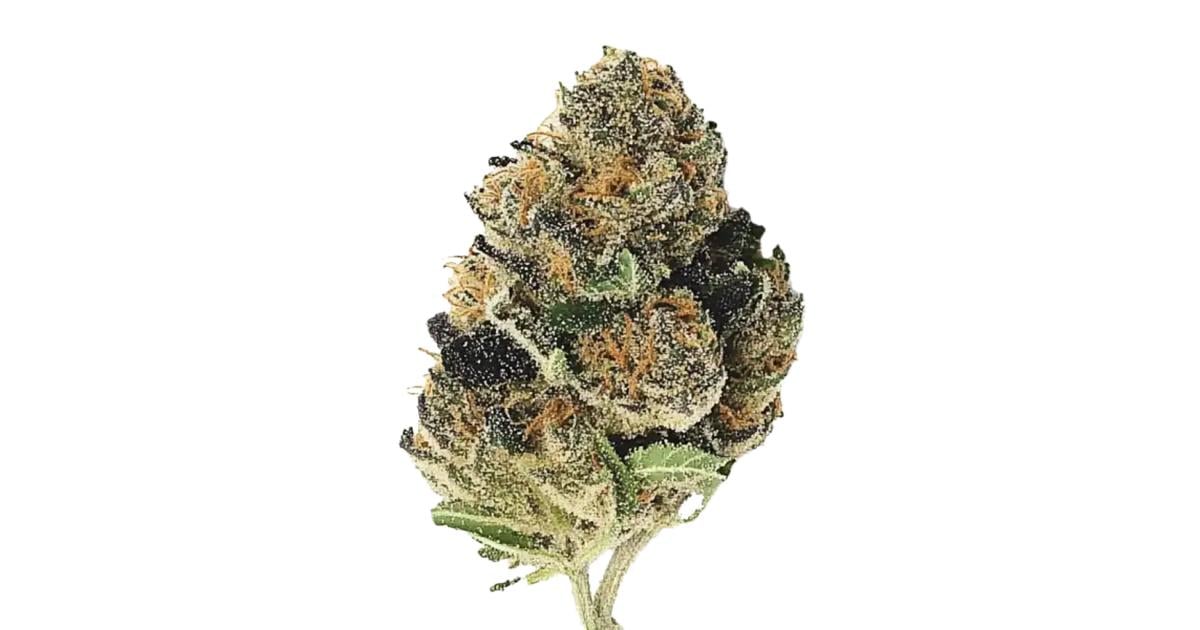 Flor da strain OZ Kush