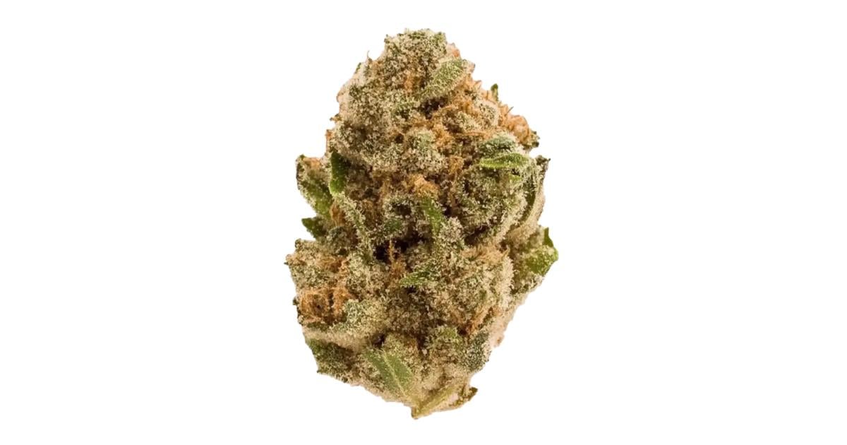 Flor da strain Purple Haze