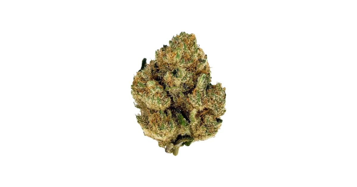 Flor da strain SFV OG