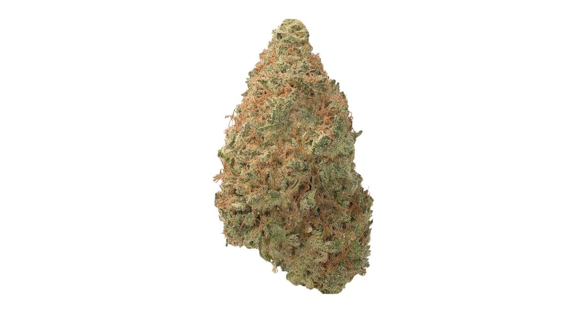 Flor da strain Shiva Skunk