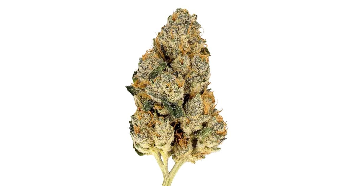 Flor da strain Skunk #1
