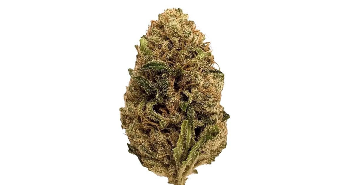 Flor da strain Skywalker OG