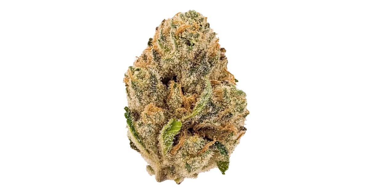 Flor da strain Snowman