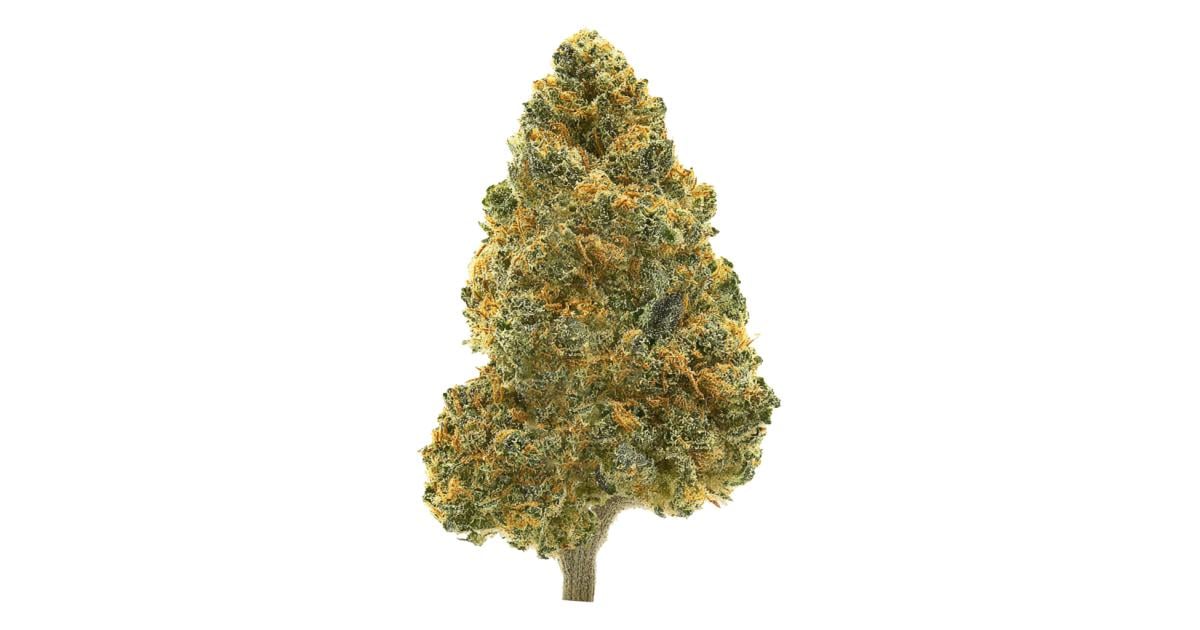 Flor da strain Sour Diesel
