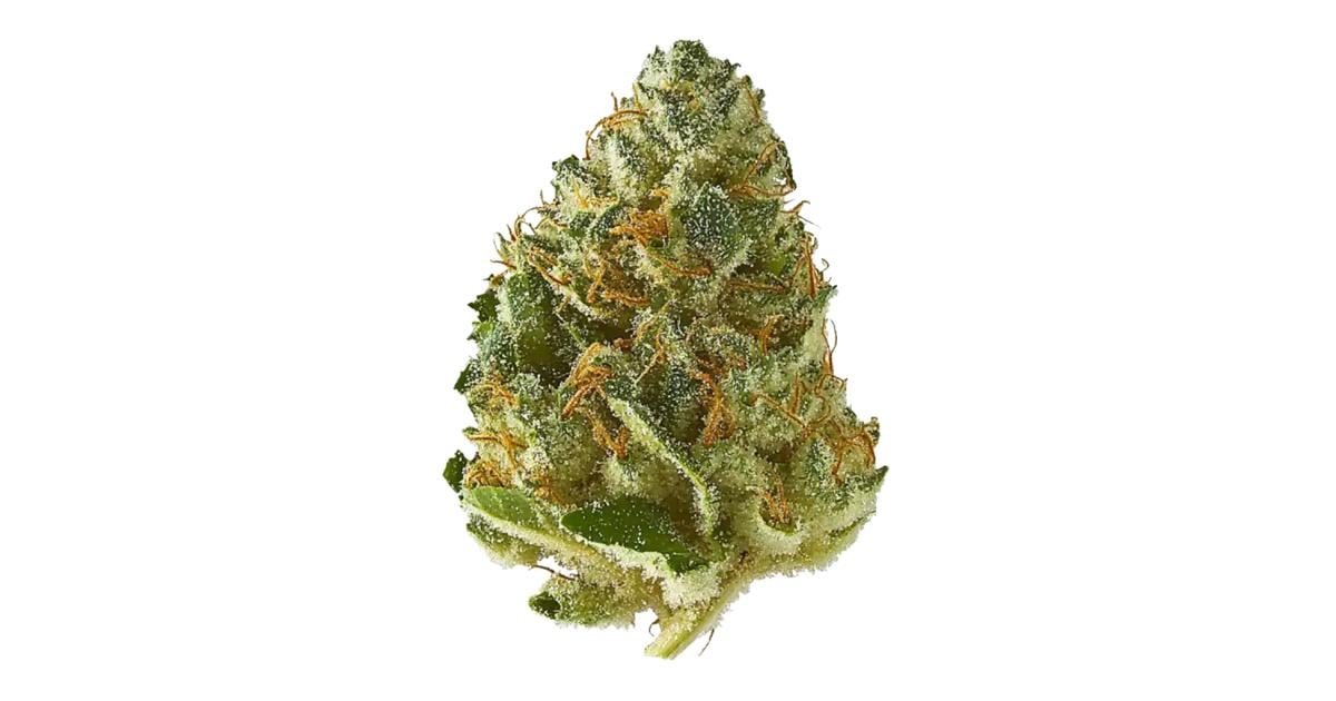 Flor da strain Strawberry Cough