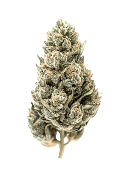 Flor da strain Thai
