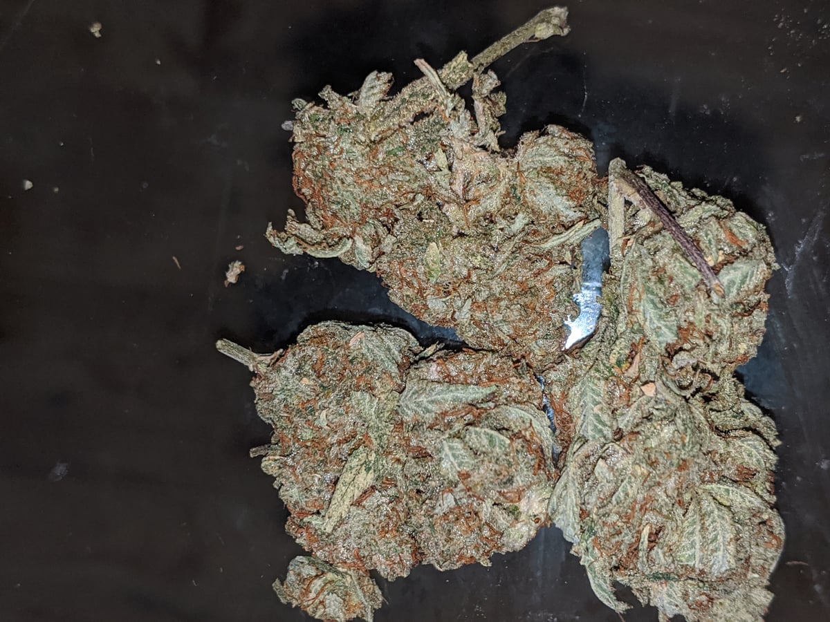 Flor da strain Truffle Butter