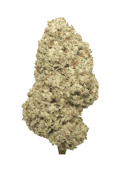 Flor da strain White Guava Gelato