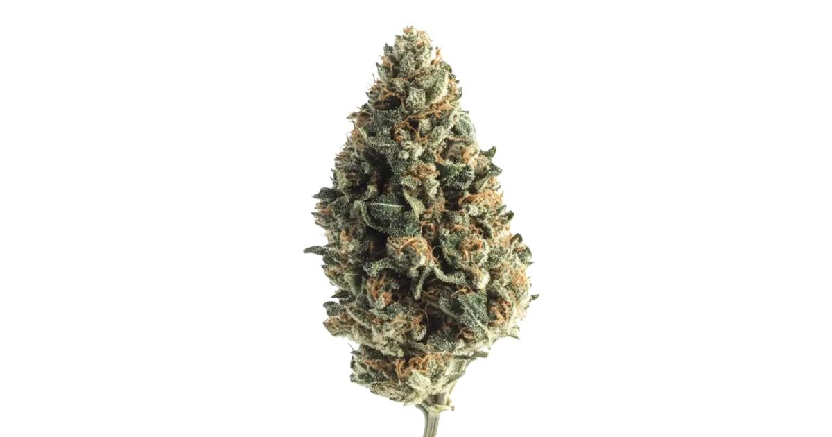 Flor da strain White Runtz