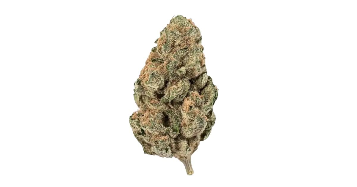 Flor da strain White Widow
