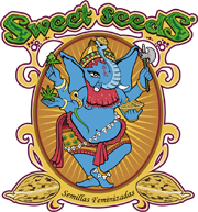 Logo Sweet Seeds